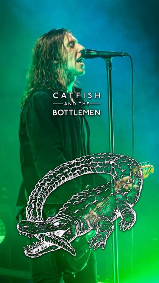 Catfish and the bottle men posters