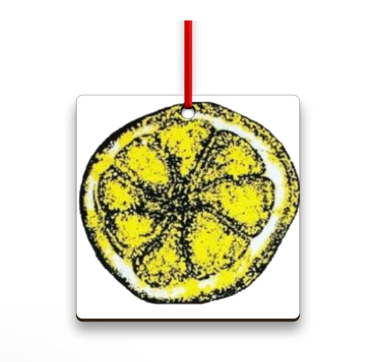 Stone roses lemon Christmas decoration