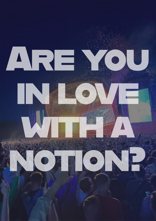Courteeners are you in love with a notion poster